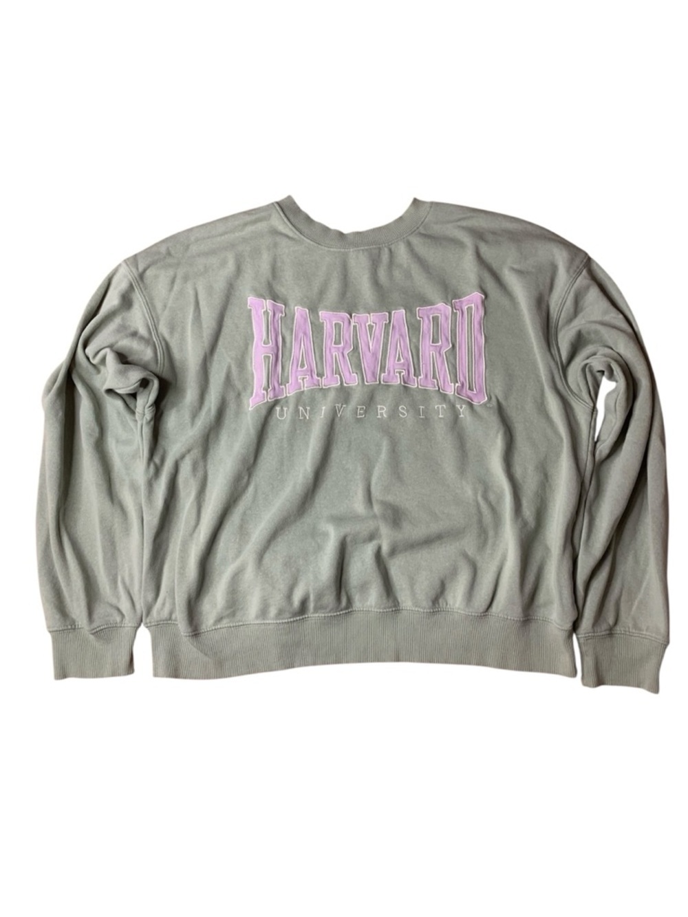 H&M Divided Harvard University Oversized Sweatshirt Sage & Purple - Large